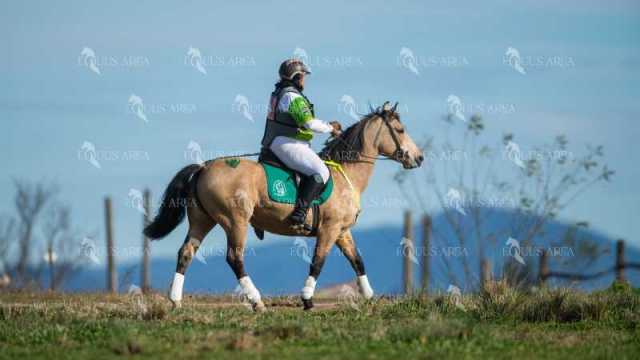 TREC02-06082024-393