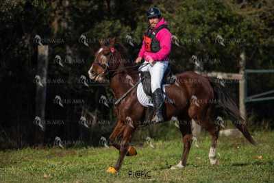 TREC02-06082024-394