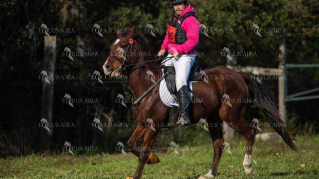 TREC02-06082024-394