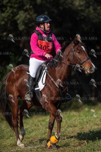 TREC02-06082024-395
