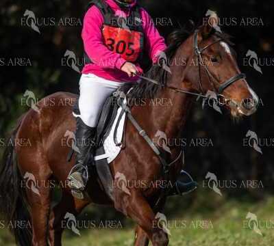 TREC02-06082024-395