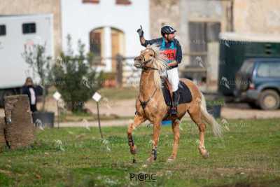 TREC02-06082024-396