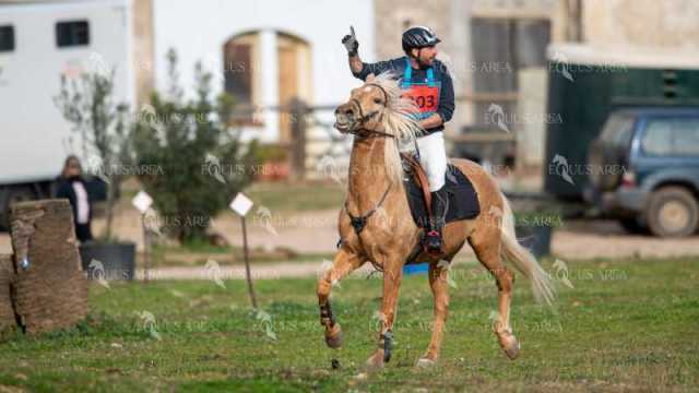 TREC02-06082024-396