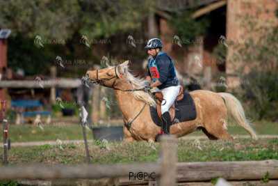 TREC02-06082024-397