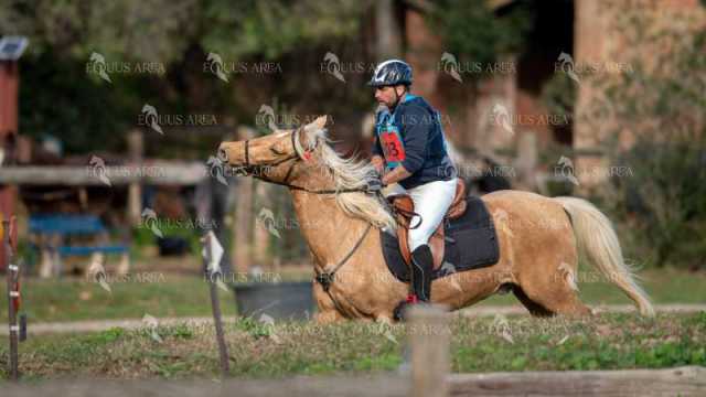 TREC02-06082024-397