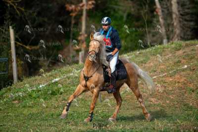 TREC02-06082024-398