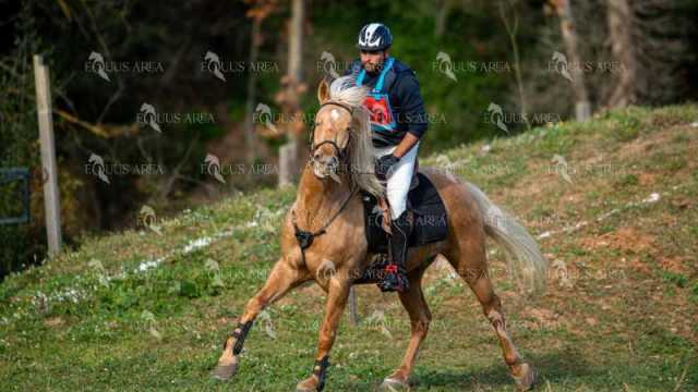 TREC02-06082024-398