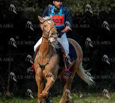 TREC02-06082024-399