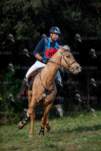 TREC02-06082024-400