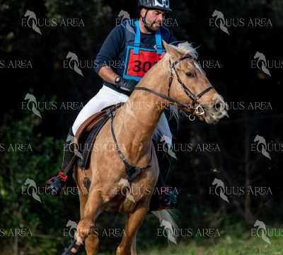 TREC02-06082024-400