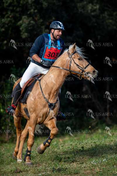 TREC02-06082024-401