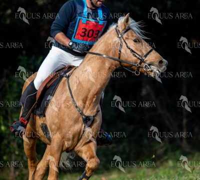 TREC02-06082024-401