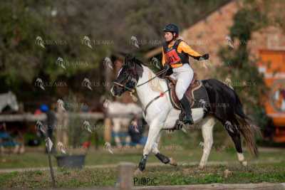 TREC02-06082024-404