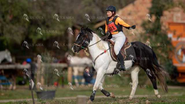 TREC02-06082024-404