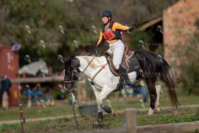 TREC02-06082024-405
