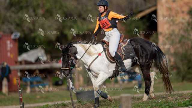TREC02-06082024-405