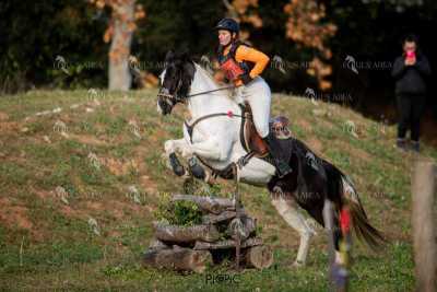 TREC02-06082024-406