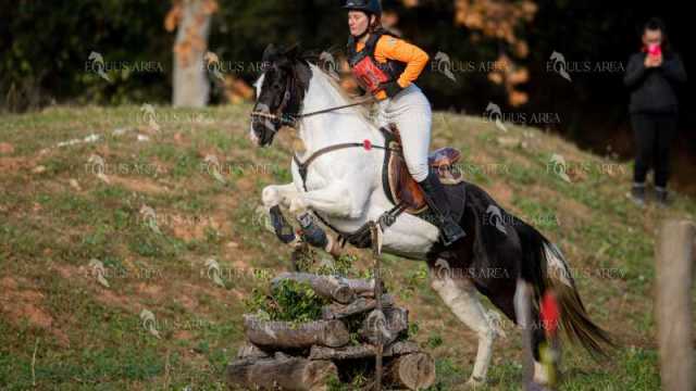 TREC02-06082024-406