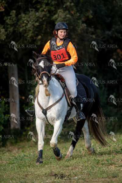 TREC02-06082024-407