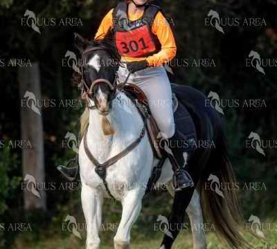 TREC02-06082024-407