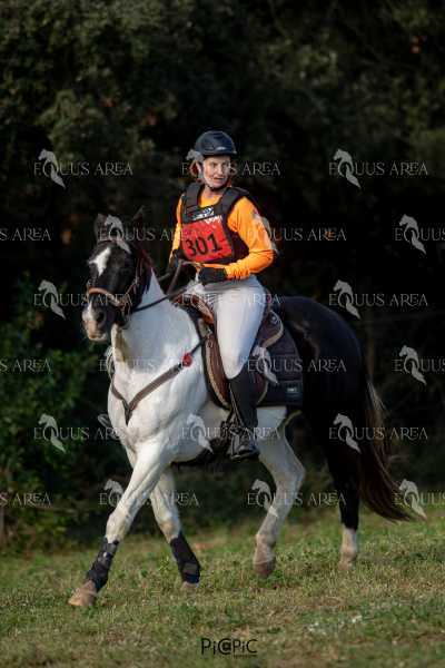 TREC02-06082024-408