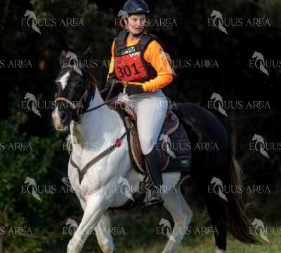 TREC02-06082024-408