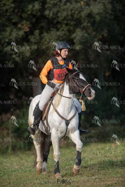 TREC02-06082024-409