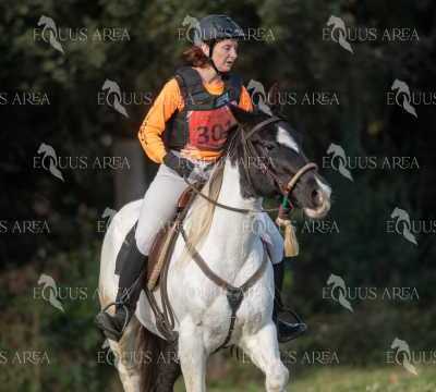 TREC02-06082024-409