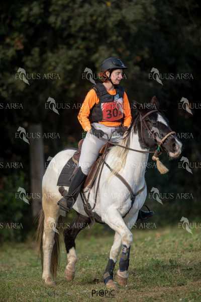 TREC02-06082024-410