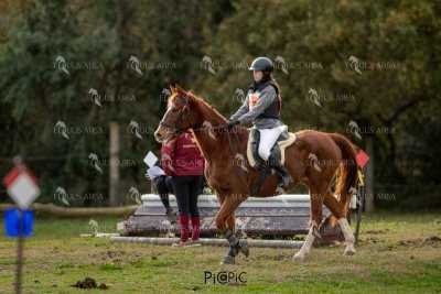 TREC02-06082024-411