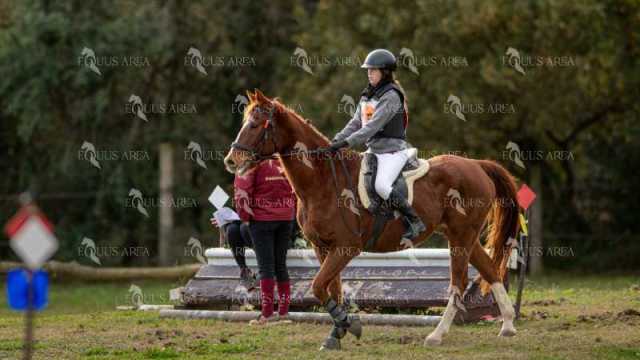 TREC02-06082024-411