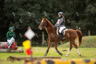 TREC02-06082024-412