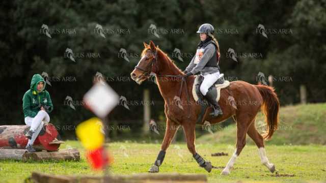 TREC02-06082024-412