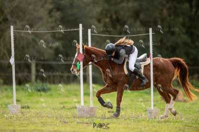 TREC02-06082024-413
