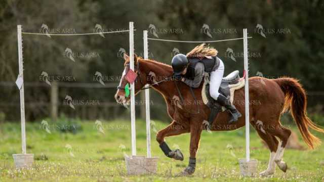 TREC02-06082024-413