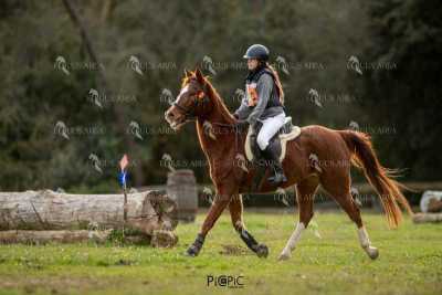 TREC02-06082024-414