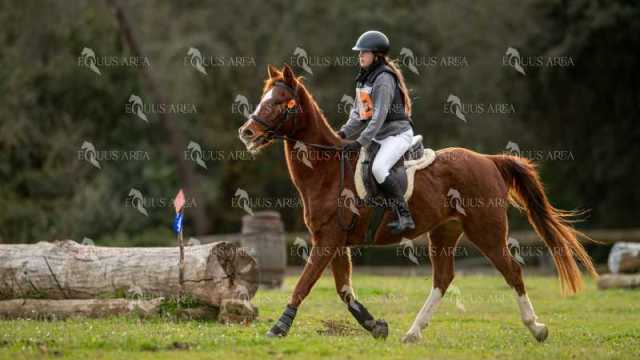 TREC02-06082024-414