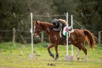 TREC02-06082024-415