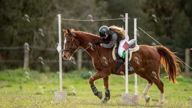 TREC02-06082024-415