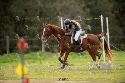 TREC02-06082024-416