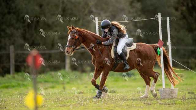 TREC02-06082024-416