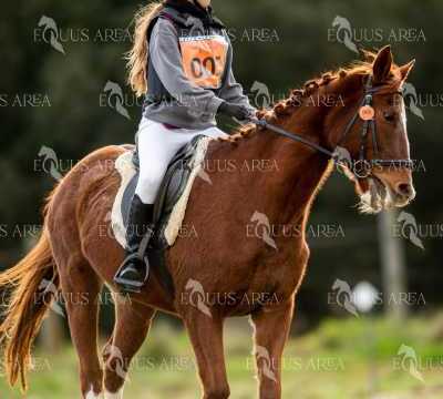 TREC02-06082024-417