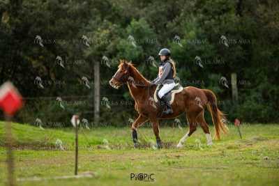 TREC02-06082024-418