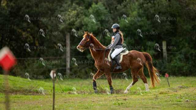 TREC02-06082024-418