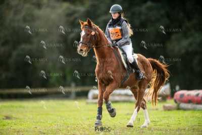 TREC02-06082024-419
