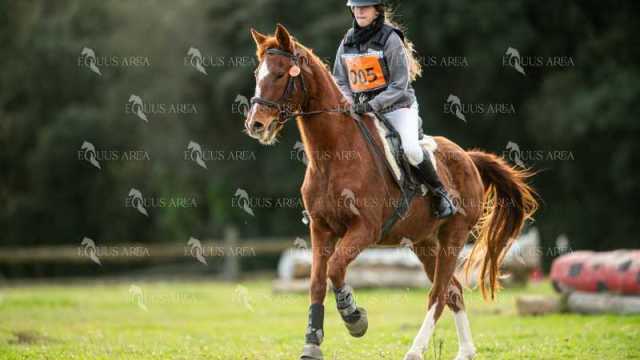 TREC02-06082024-419