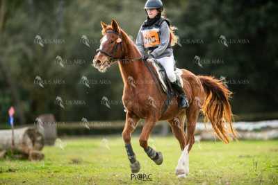 TREC02-06082024-420