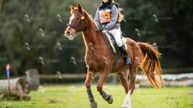 TREC02-06082024-420