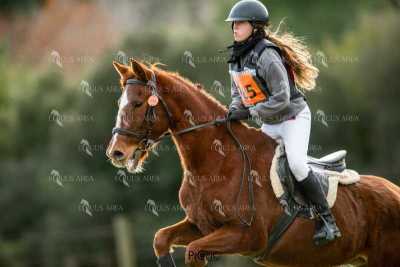 TREC02-06082024-421