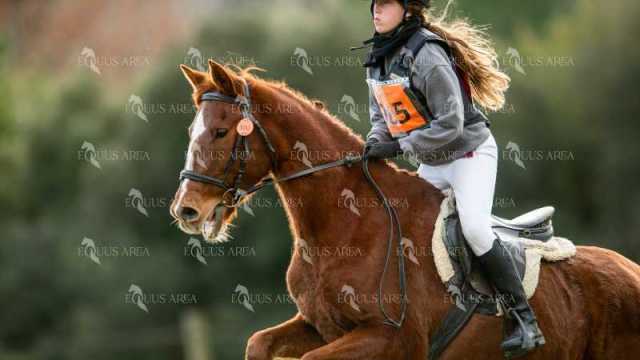 TREC02-06082024-421